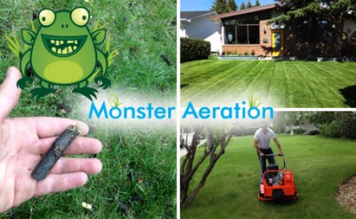 Summer Lawn Fertilizer on Summer Lawn Care Package Including Aeration And Renowned Lawn Care Cut
