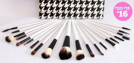 20-Piece Professional Make-Up Brush Set with a Trendy Travel Case